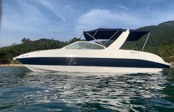 Sea Ray 395