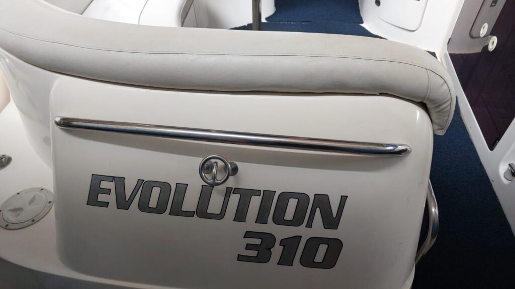 Evolution 310